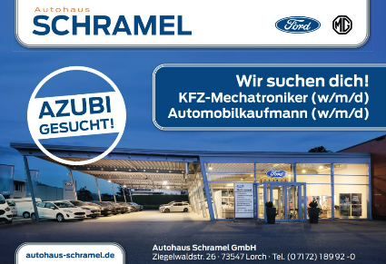 KFZ-Mechatroniker (w/m/d)