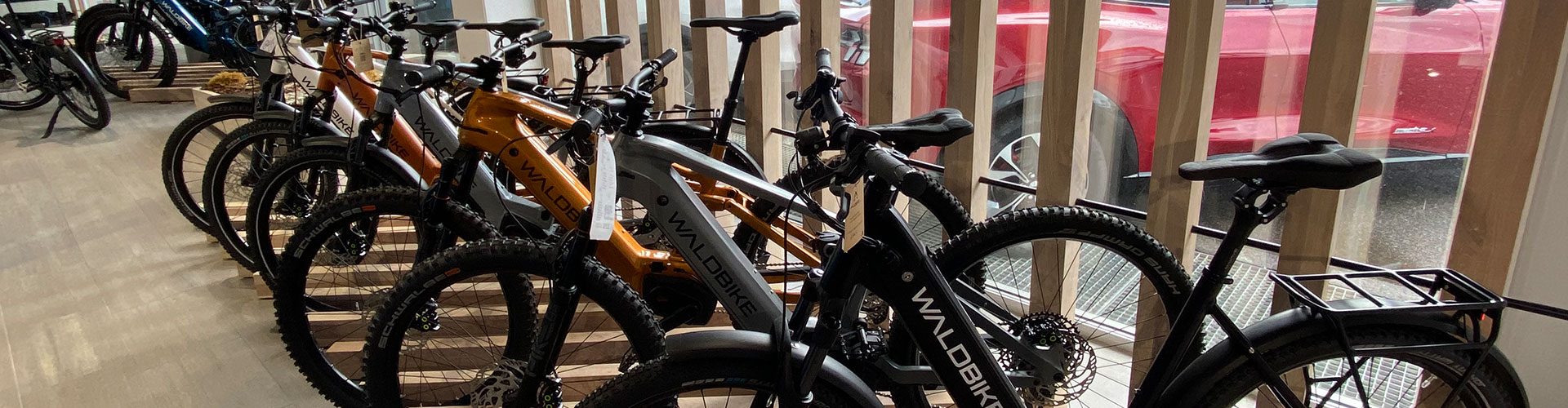 WALDBIKE Premium Partner in der Region Rutesheim