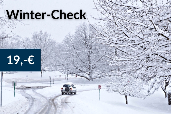 Winter-Check